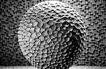 The Trust Barrier: Why Cathie Wood’s OUSD Skepticism Is a Data-Verified Reality The Trust Barrier: Why Cathie Wood’s OUSD Skepticism Is a Data-Verified Reality