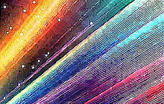 Gold’s New Flow: Central Bank Accumulation Meets On-Chain Substitution — A Data Detective’s View