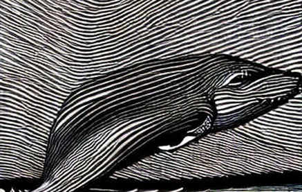 The Geopolitical Fat Tail: Why Crypto Markets Absorbed the Second Wave but Won’t Survive the Third The Geopolitical Fat Tail: Why Crypto Markets Absorbed the Second Wave but Won’t Survive the Third